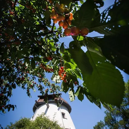 Dom Wakacyjny - Wiatrak Holenderski Na Mazurach Ryn  Exterior photo