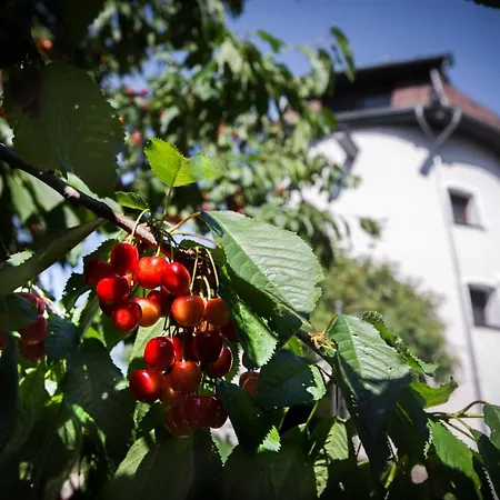 Dom Wakacyjny - Wiatrak Holenderski Na Mazurach Ryn  Exterior photo