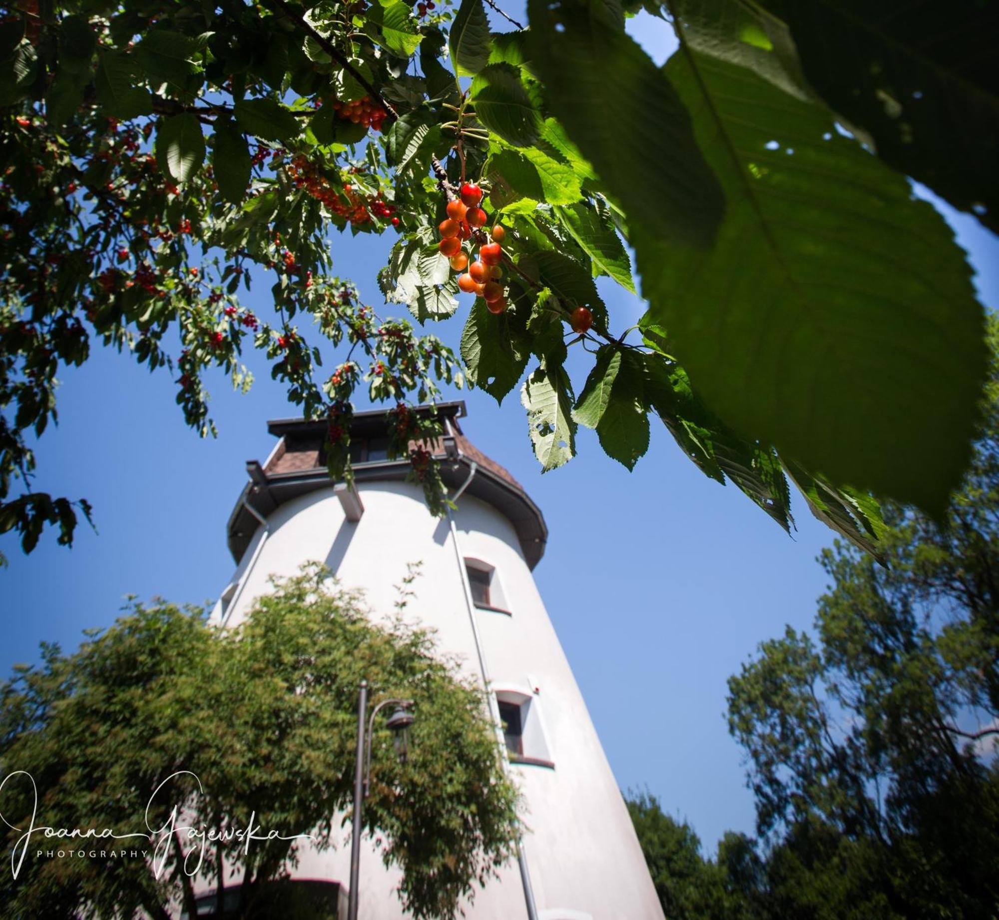 - Wiatrak Holenderski Na Mazurach * Ryn (Warmian-Masurian)